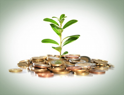 Импакт в бизнесе 2025: почему его значение критически возрастает