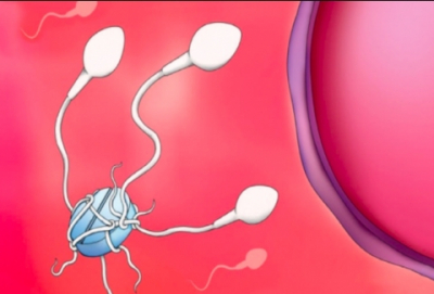 Мужские противозачаточные таблетки: реальность или миф?